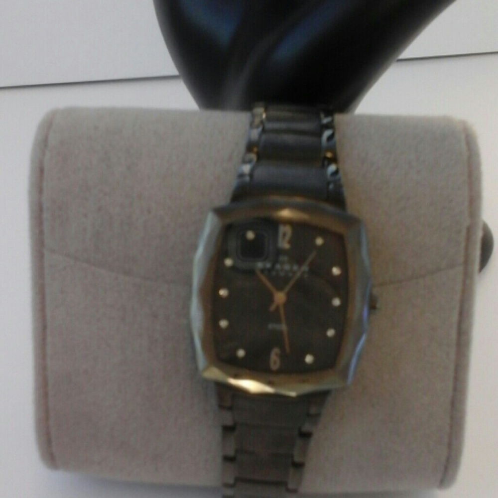Skagen Watch